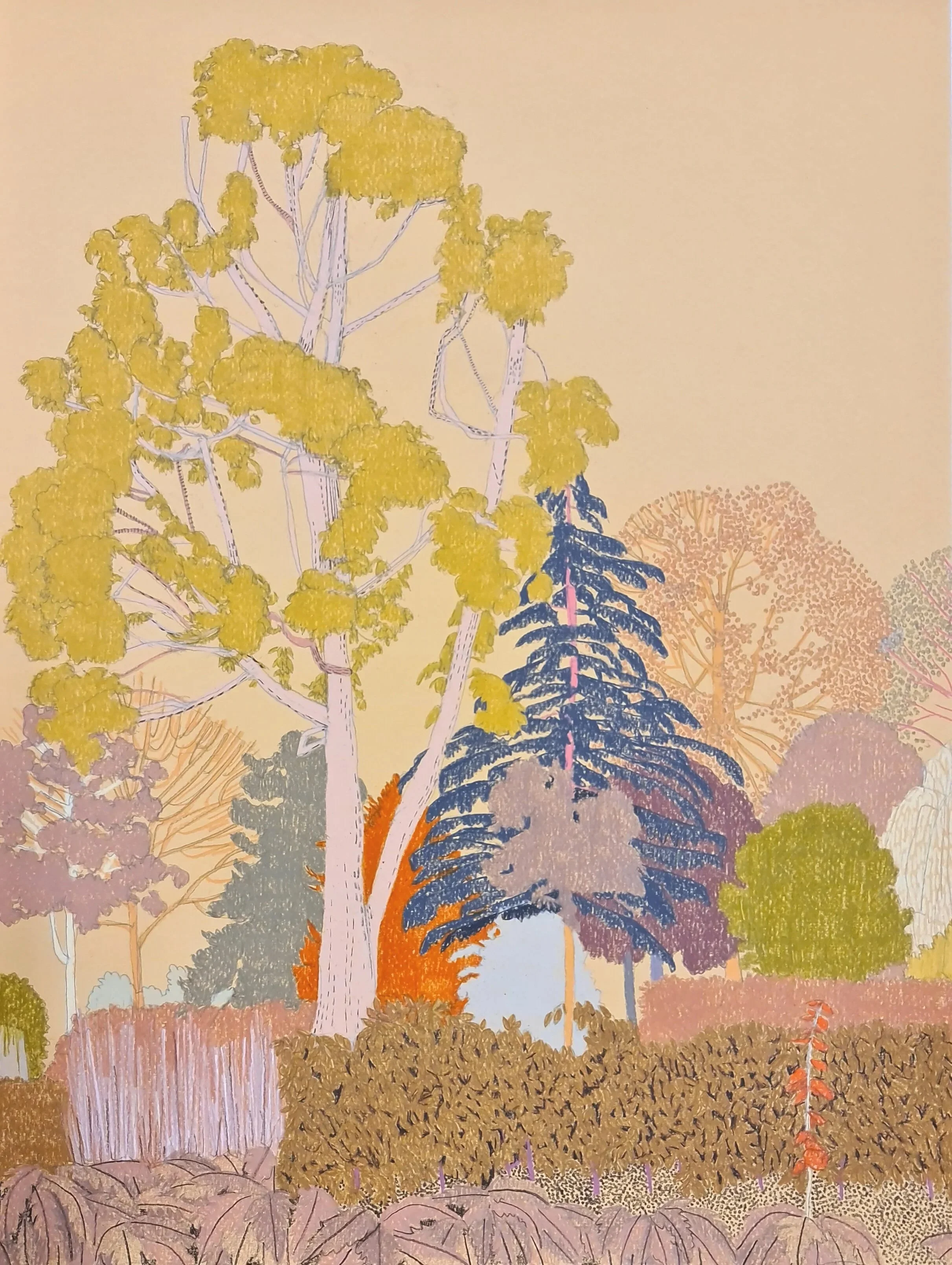 clare halifax 